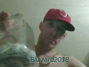 Blizzard2018