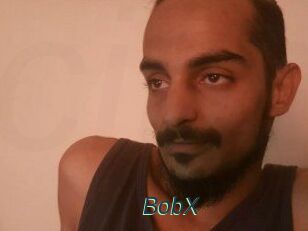 BobX