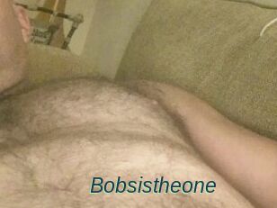 Bobsistheone
