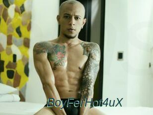 BoyFerHot4uX