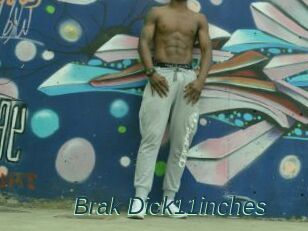 Brak_Dick11inches