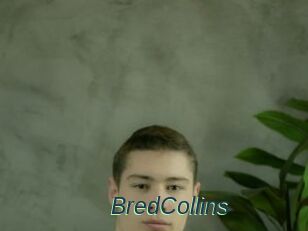BredCollins