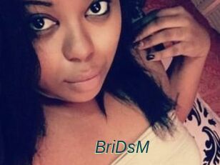 BriDsM