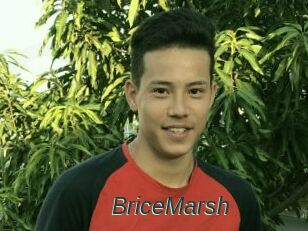 BriceMarsh
