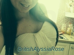 BritishAlyssiaRose