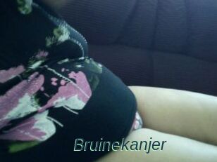 Bruinekanjer