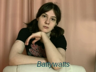 Battywatts