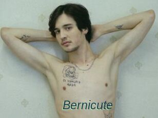Bernicute