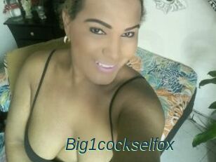 Big1cockselfox