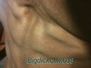 Bigdickcum018