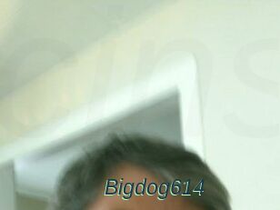 Bigdog614