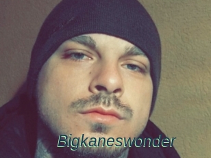 Bigkaneswonder