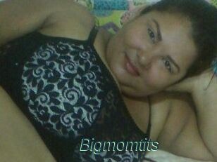 Bigmomtits