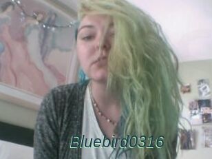 Bluebird0316