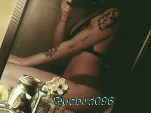 Bluebird096