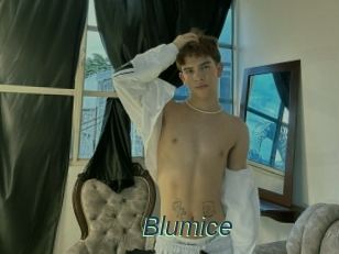 Blumice