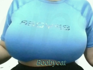 Boobycat