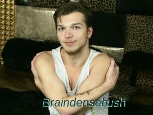 Braindensebush