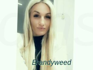 Brandyweed