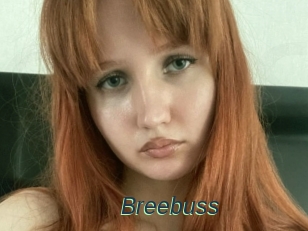 Breebuss