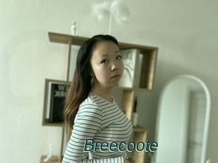 Breecoote