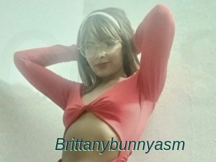 Brittanybunnyasm
