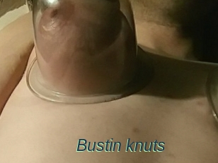Bustin_knuts
