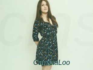 CarnetaLoo