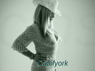 Catofyork