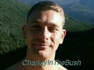 CharleyInTheBush