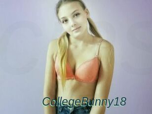 CollegeBunny18