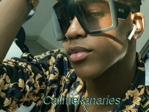 Callmekanaries