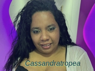 Cassandratropea