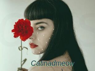 Catinadmeow