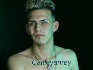 Cattleyanrey