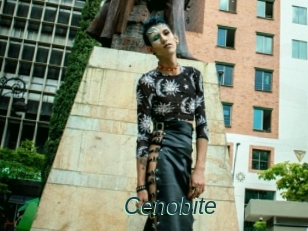 Cenobite