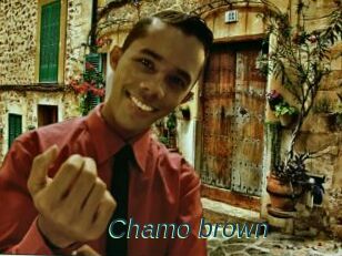 Chamo_brown