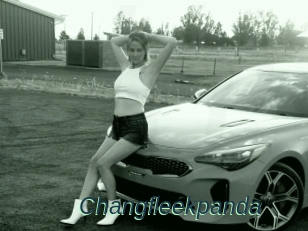 Changfleekpanda