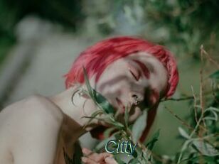 Citty