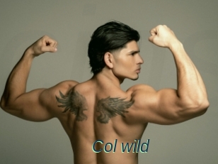 col_wild Cinema Sex