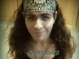 Cottontail28