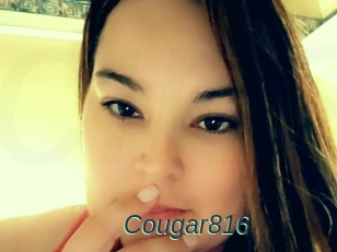 Cougar816