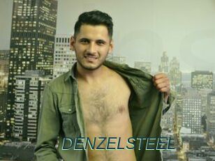 DENZELSTEEL