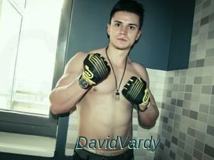 DavidVardy