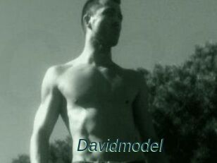 Davidmodel