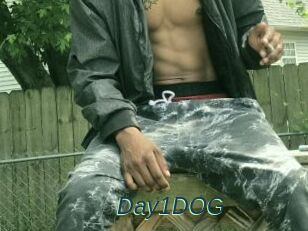 Day1DOG