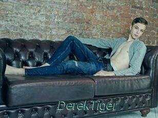DerekTiger