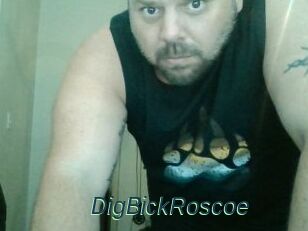 DigBickRoscoe