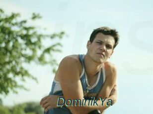 DominikYa