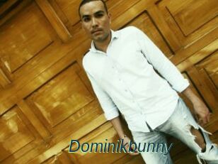 Dominikbunny